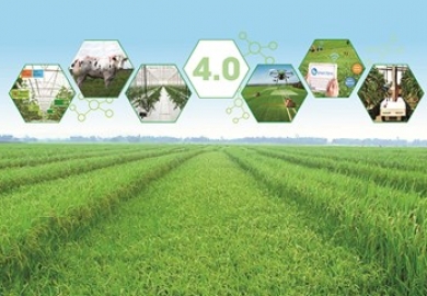 DỊCH THUẬT NGÀNH NÔNG NGHIỆP